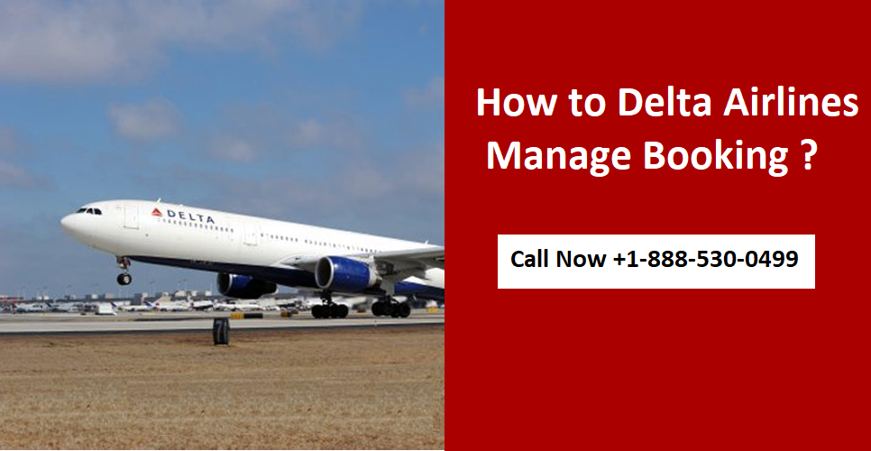 Delta Airlines Manage Booking Reservations Flight